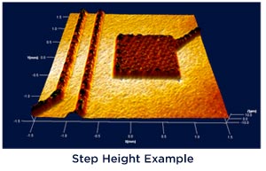 Step Height Example
